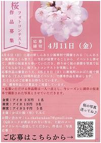 【４／１１締切】桜フォトコンテスト作品募集