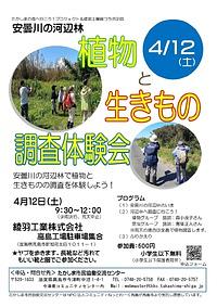 【４／１２（土）】安曇川の河辺林　植物と生きもの調査体験会