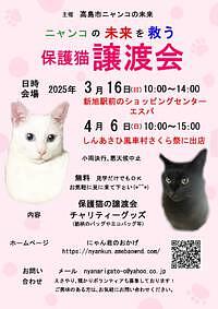 【３／１６（日）、４／６（日）】ニャンコの未来を救う保護猫譲渡会