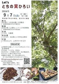 【９／７（土）】Let’ｓとちの実ひろい