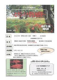 【９／２２（日）】９月自然観察会～ヒガンバナ群生地観察会～