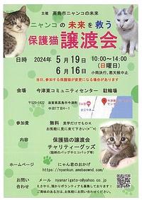 【５／１９(日)、６／１６(日)】ニャンコの未来を救う　保護猫譲渡会
