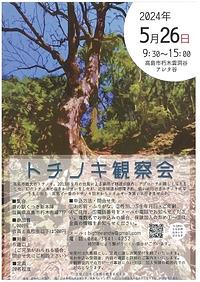 【５／２６（日）】トチノキ観察会