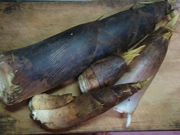 筍をいただきました。