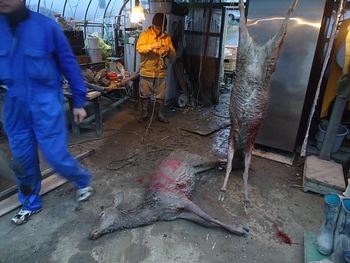 未利用資源事業化研究会のフォーラム「さあ、あしたの農業始めよう」