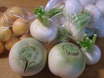 紅芯大根とカブのお届け