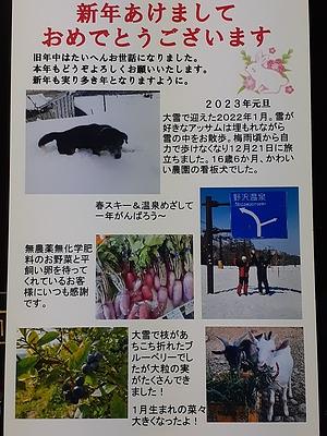 ２０２３年もよろしくお願いします！