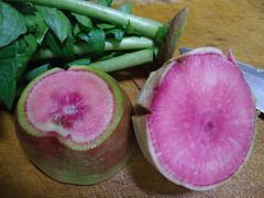 紅芯大根のサラダです。