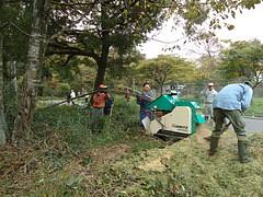 梅の子区で竹伐採でした。