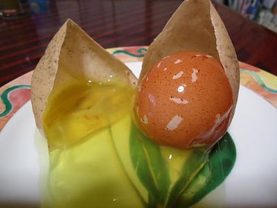 超ビッグサイズの卵の中身