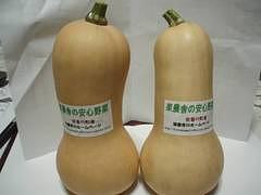 バターナッツカボチャのスープ