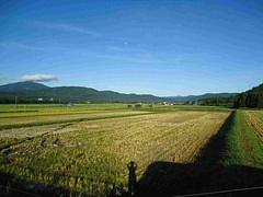 なかまちフリマとディオス北千里での販売でした