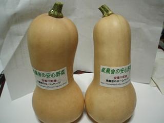 バターナッツカボチャと夏のお野菜ボックス