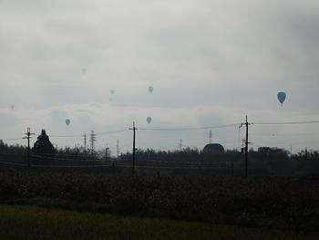 卵拾い体験と炭窯復活プロジェクト