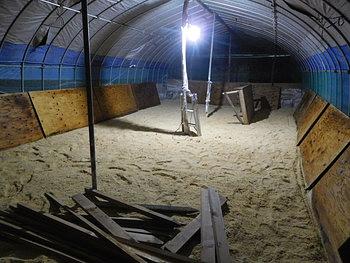 ゴトウもみじ２１代目が来ました。