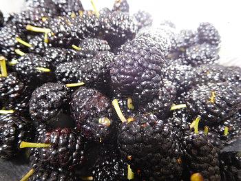 桑の実のジャムを作りました。