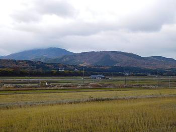 １１月２３日の農園と１８代目の雛たち