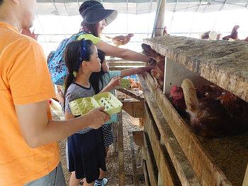 大きな虹が出ました。