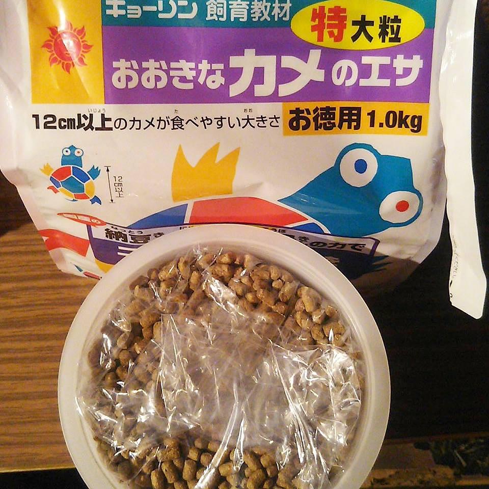 カメのエサ