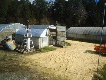 ２０１６年１月１日の農園