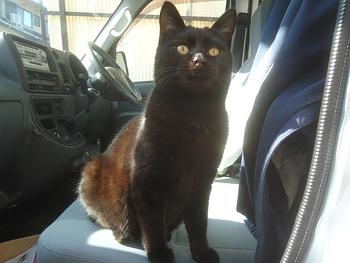 ２０１５年の大みそか