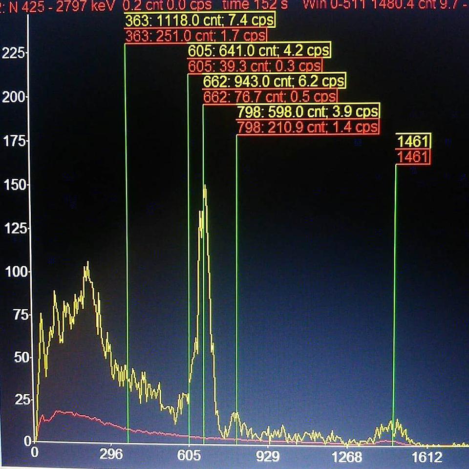 栃木県日光市の広葉樹の灰