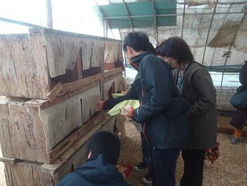 １１月１９日は市民活動支援センター意見交換会のみなさんが農園を訪ねてくれました。