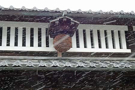 強風にほんろうされた「とんど」