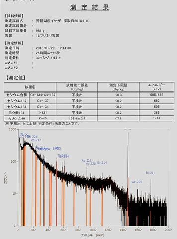 琵琶湖産イサザ