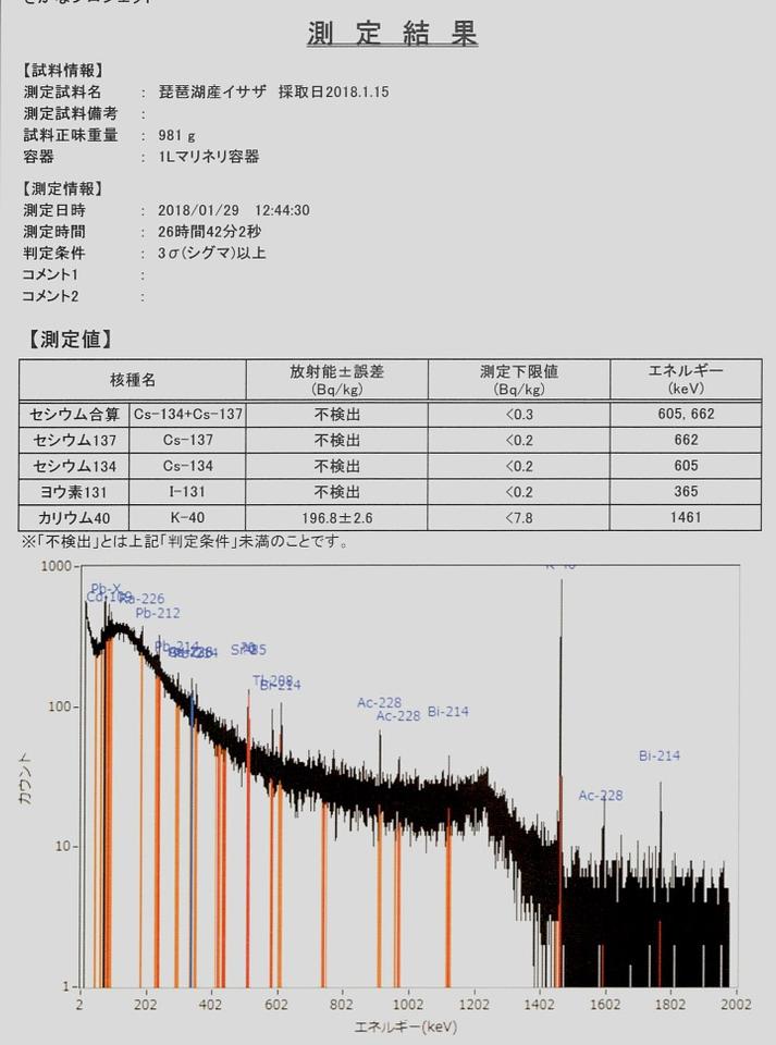 琵琶湖産イサザ