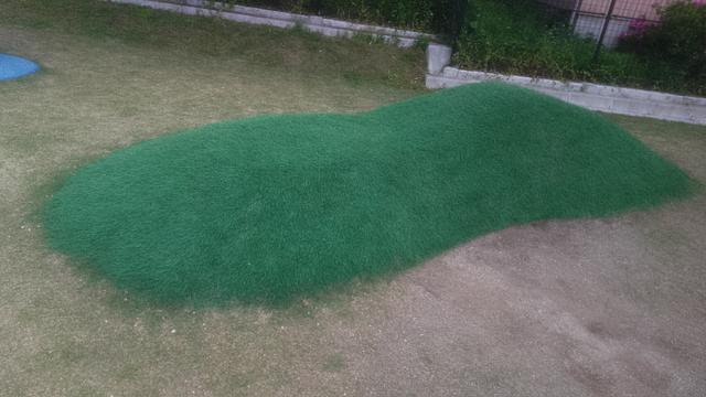 竹生島？沖島？