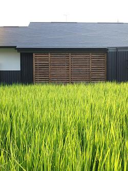 デッキテラス　洗濯干し場