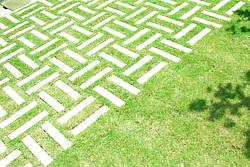 芝の庭　城陽の家