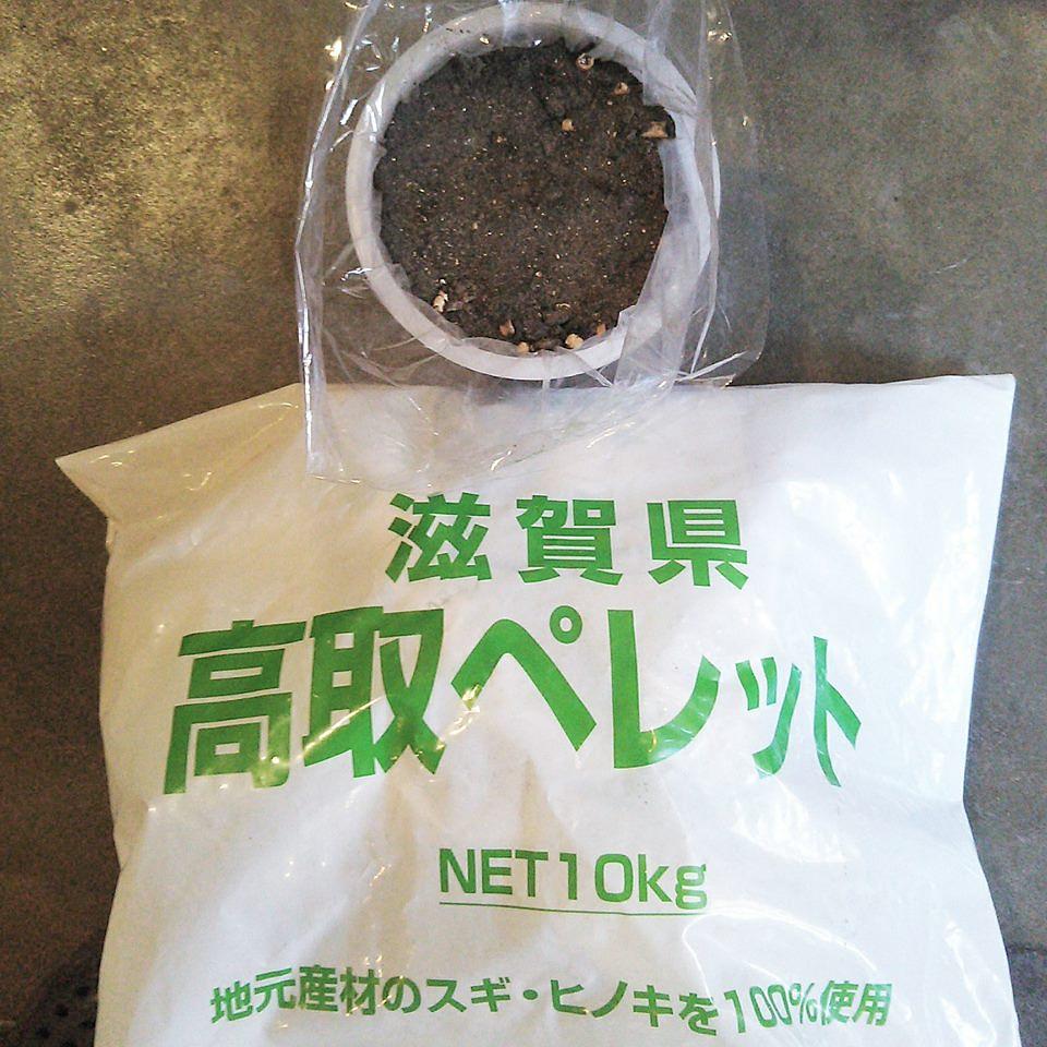 ペレットストーブの灰、甲賀の椎茸と大根
