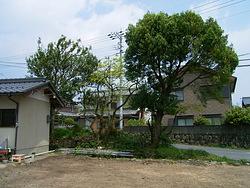 砂質地盤の水締め