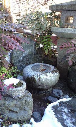 今日も寒いです