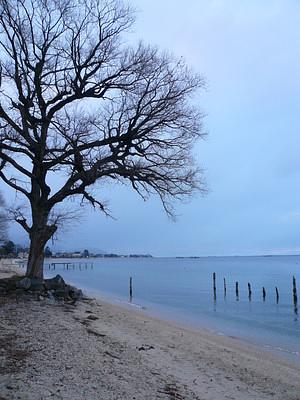 ちょっとびわ湖へ