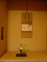 6月に入りました・・・