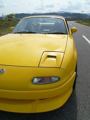 今日は暑いです