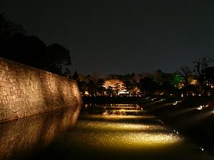 夜桜　二条城