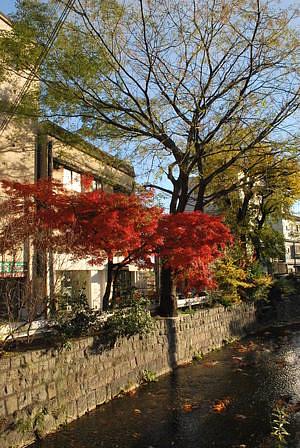 五条　界隈・・・