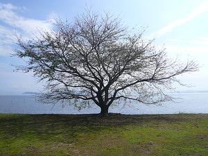 びわ湖沿いにて