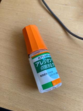 すっかり春ですね