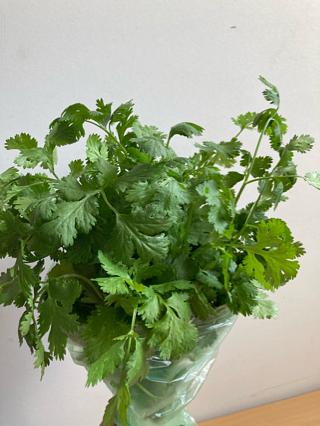 ユニクロデニム