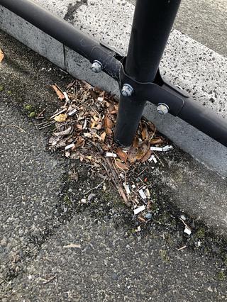 NOポイ捨て！！