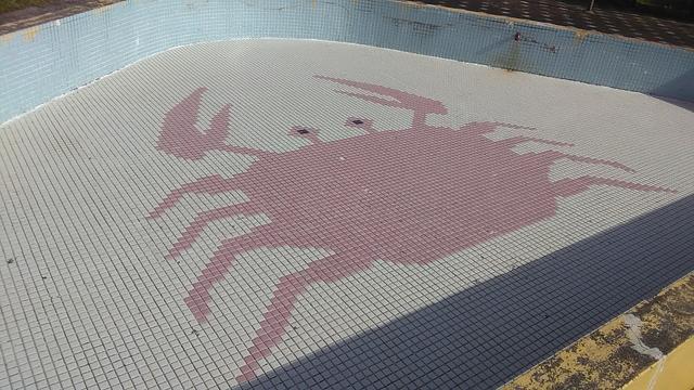 ブログ名の代わりに