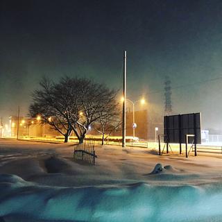 やっと晴れました！