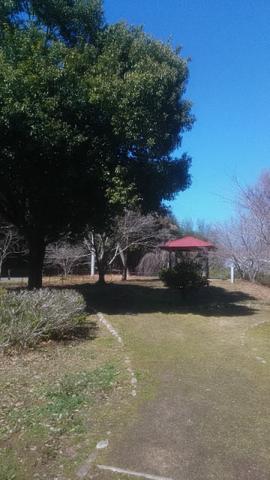 庄堺公園(しょうさかいこうえん)に行ってきました