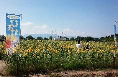 お盆じゃないけど、