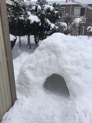 イグルー?